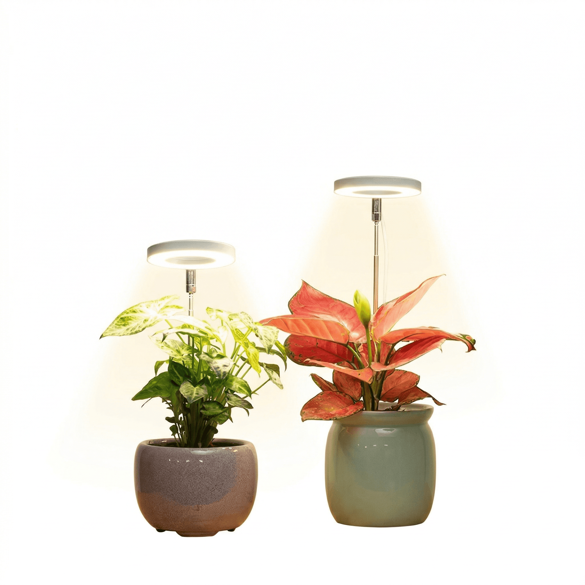 Solarny LED, teleskopowa lampa 🌿